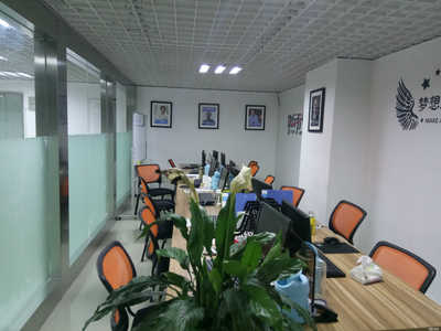 蘇州永真商務(wù)咨詢(xún) 專(zhuān)業(yè)商務(wù)信息咨詢(xún)服務(wù)解析